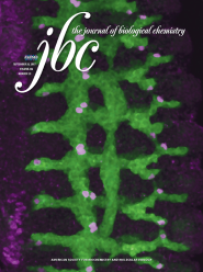 Journal of Biological Chemistry 2007