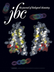 Journal of Biological Chemistry 2010